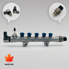 Conjunto de riel com&uacute;n 23810-0E010 23810-0E011 23810-0E030 para motor Toyota Land Cruiser 1GD 2GD.